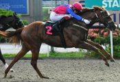 Olivier Placais aboard Travertine<br>Photo by Singapore Turf Club